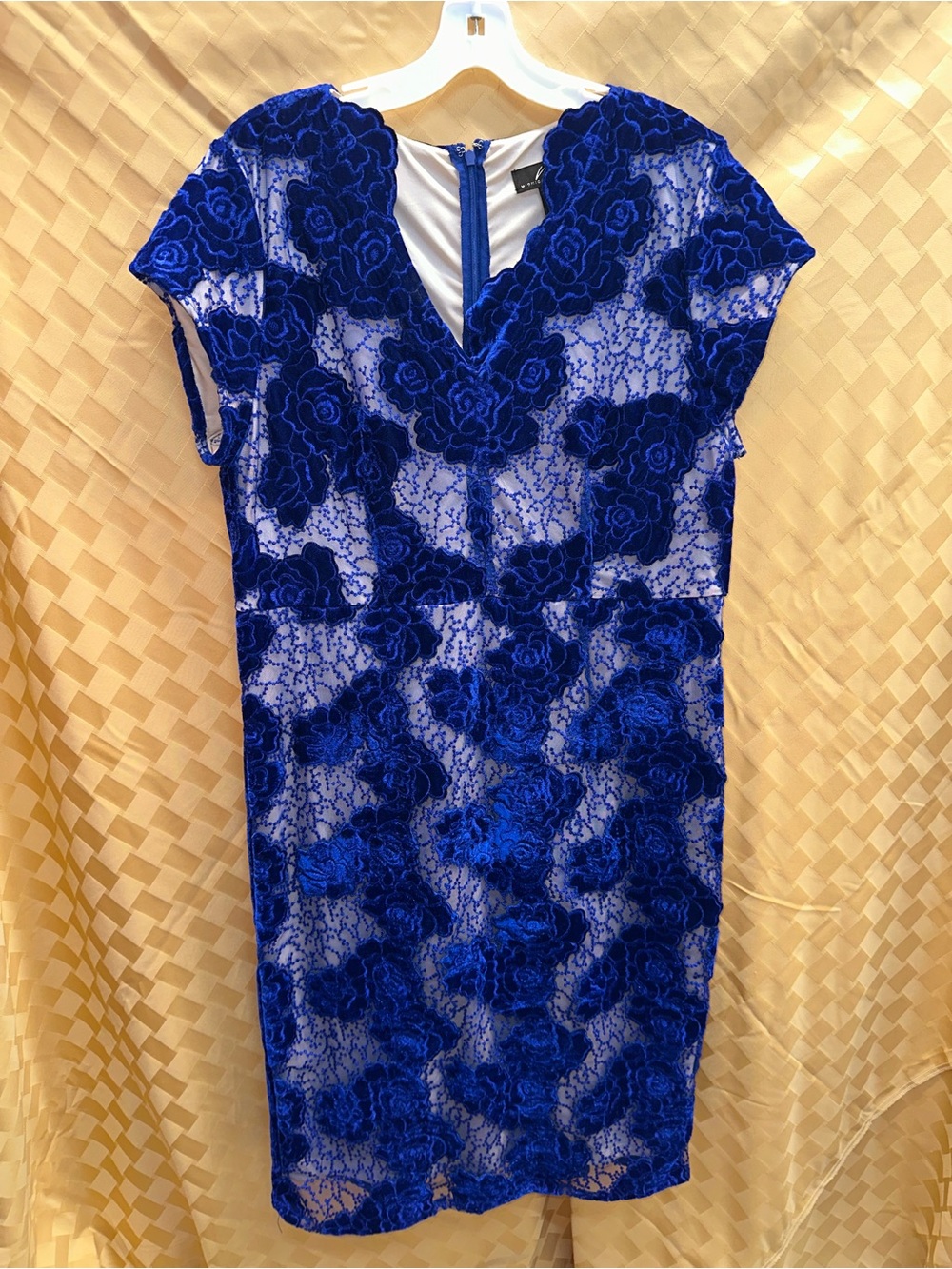 Midnight Velvet Royal Blue Floral Lace Midi Dress